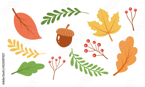Colorful autumn elements including leaves, berries, and an acorn, perfect for greeting cards, seasonal designs or fall themed projects