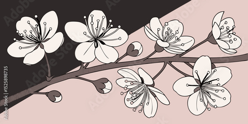 Cool white flowers. Cool fragile white flowers on grey and pink   background vector illustration .
