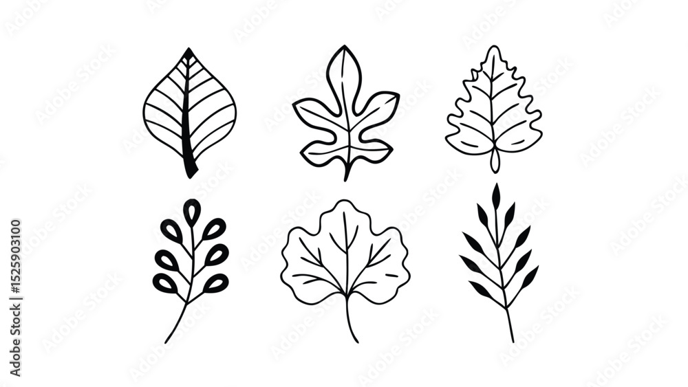 Fototapeta premium Nature-Inspired Leaf and Seed Icon Set – Black Silhouettes for Eco-Friendly Themes and Projects