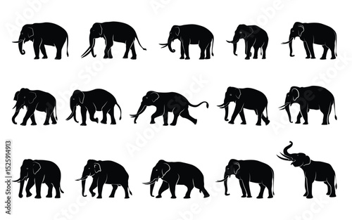 Set of male elephant silhouettes in different poses separated excellent drawing. Vector illustration.