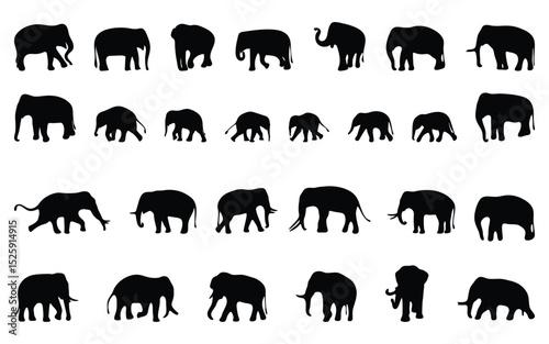 Awesome elephant silhouette set. Vector illustration.