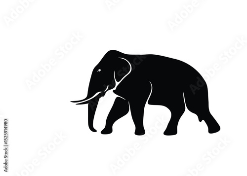Isolated Asian male elephant shadow on white background. Vector illustration.