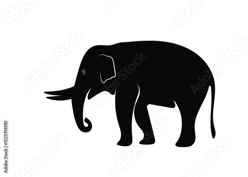 Big graceful Asian male elephant shadow with tusks on white background. Vector illustration.