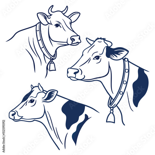 cow and calf vector