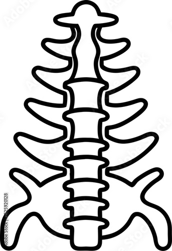 Human Spine vector icon 