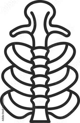 Spine vector icon 