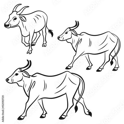 Cow vector illustration