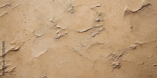 Wallpaper Mural close-up of a textured beige plaster wall with rough patches and uneven surface Torontodigital.ca