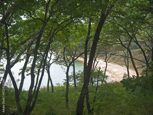 Small sea cove and sand beach seen from the above forest 