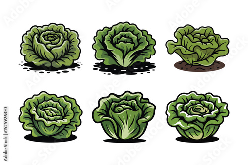 Delicious vegetables 6 lettuce set vector illustration