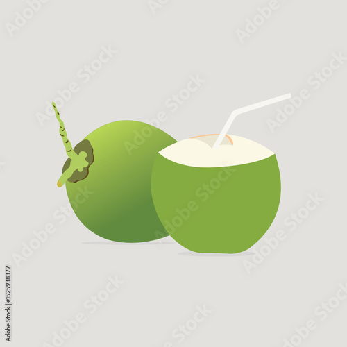 Fresh Coconuts with straw vector illustration.
