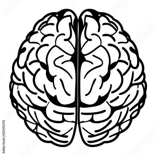 A top view of a stylized human brain illustration with detailed lobes and intricate line work design