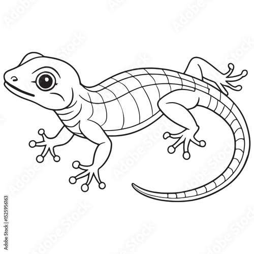 Eastern Fence Lizard Line Art Illustration Educational Animal Drawing