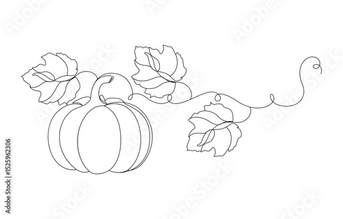 pumpkin vegetables continuous line drawing