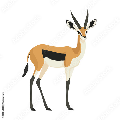 2D flat Springbok illustration vector, isolated on a white background.
