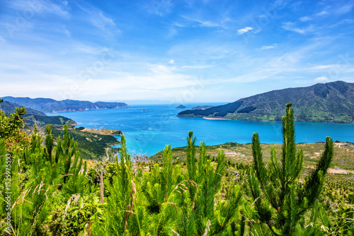 Croisilles Harbour, Marlborough Sounds, South Island, New Zealand, Oceania. photo
