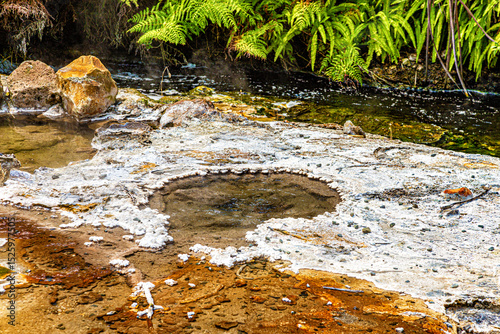 Close-up of the earth surface, Waimangu Volcanic Valley, Rotorua, North Island, New Zealand, Oceania.