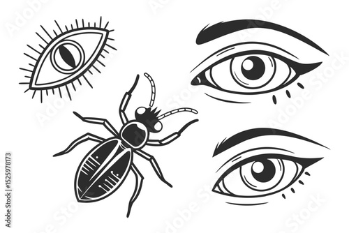 vector illustration of human eye