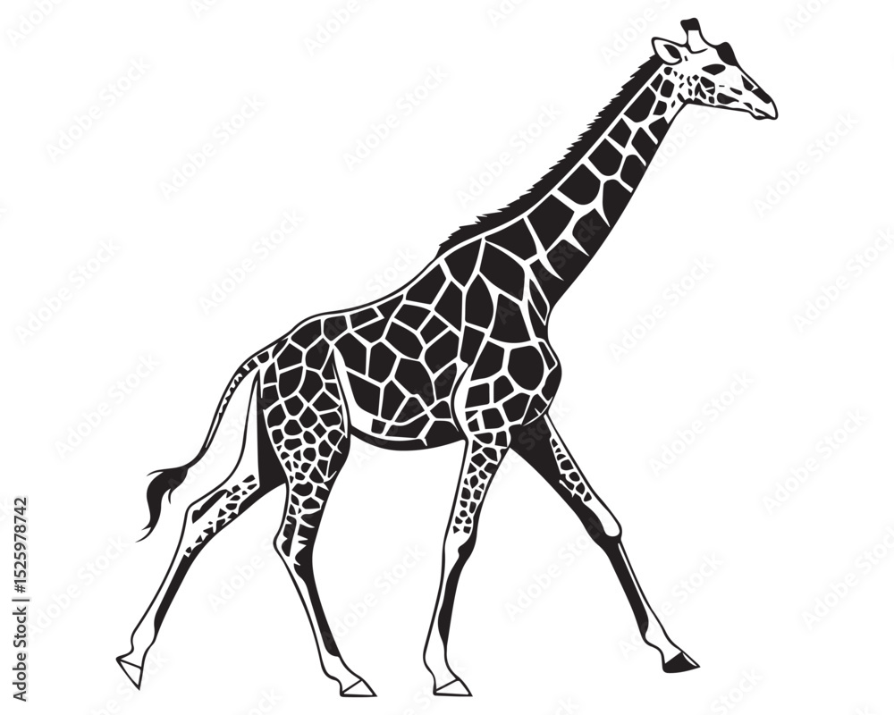 Naklejka premium A black and white line drawing of a full giraffe in profile view isolated on transparent background, PNG 