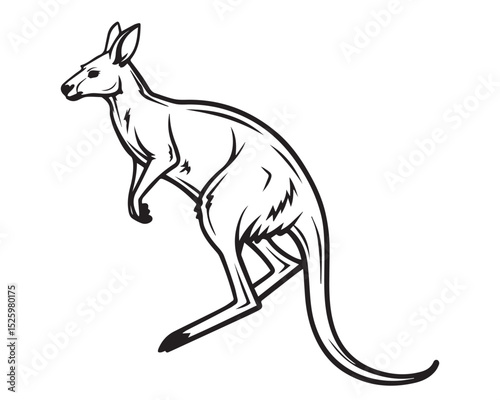 A black and white line drawing of a full kangaroo in profile view isolated on transparent background, PNG
