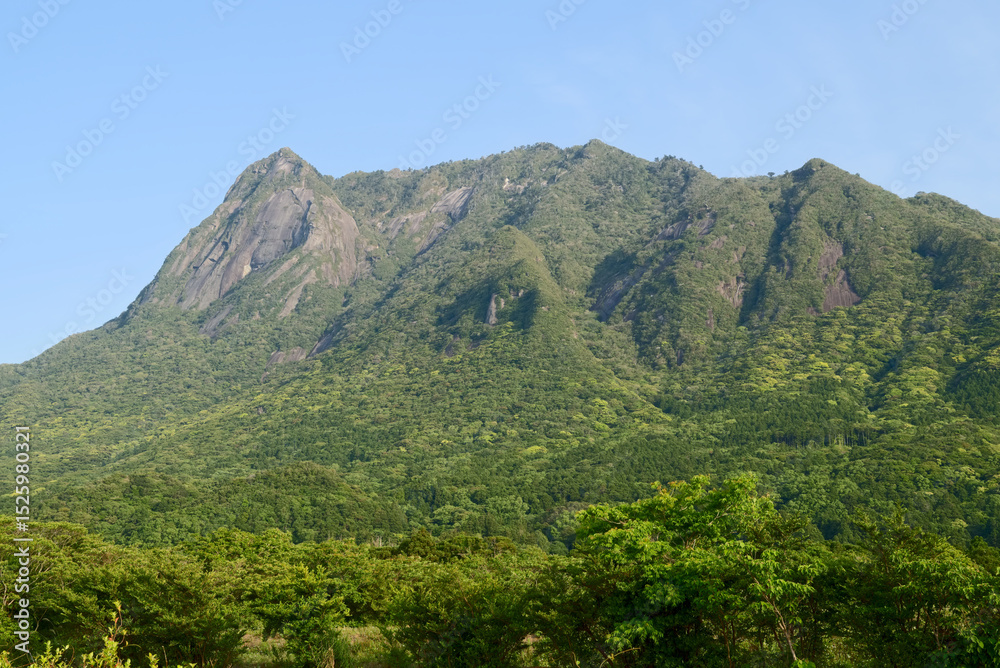 Fototapeta premium 屋久島、原地区から望むモッチョム岳