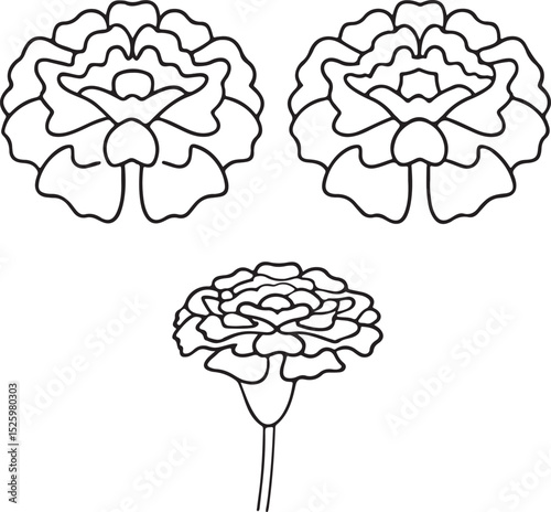 Marigold Flower Vector Graphic for Festive Cultural Holiday and Decorative Themes