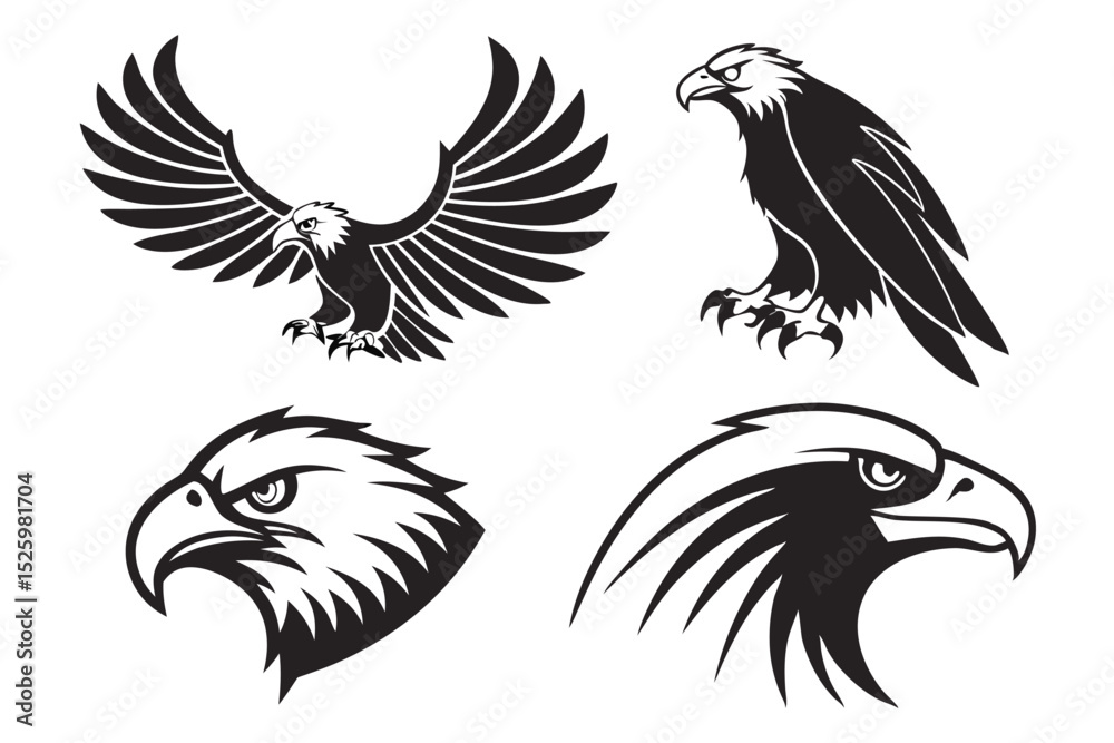 Obraz premium set of eagle