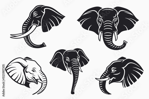 set of sea animals
