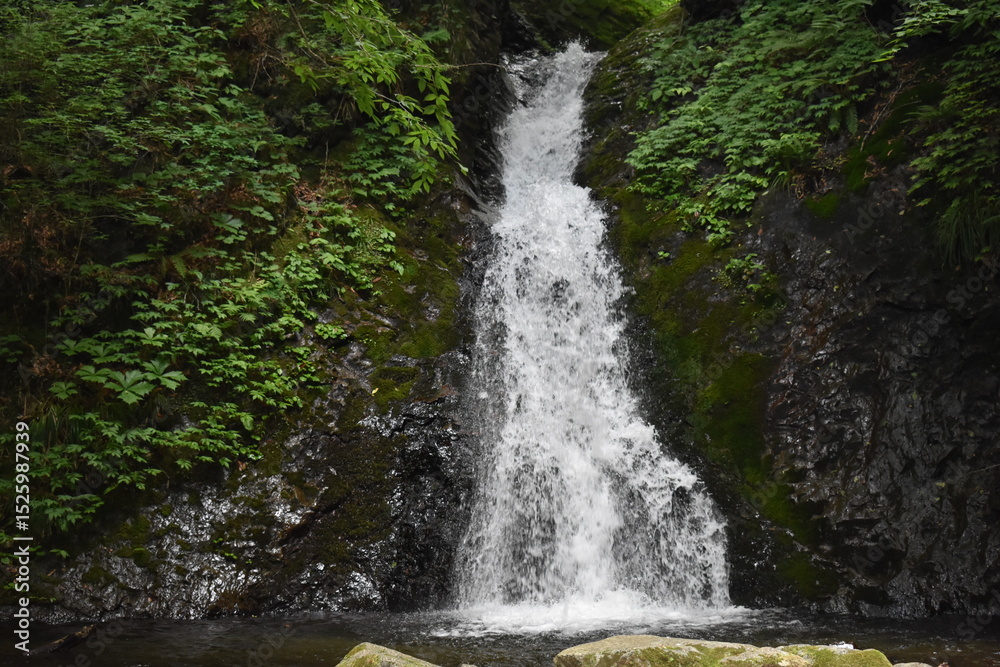 Obraz premium 竜化の滝