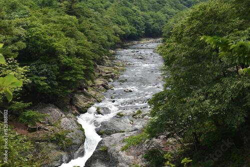 布滝