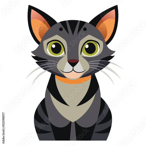 colorful cat vector image on white background
