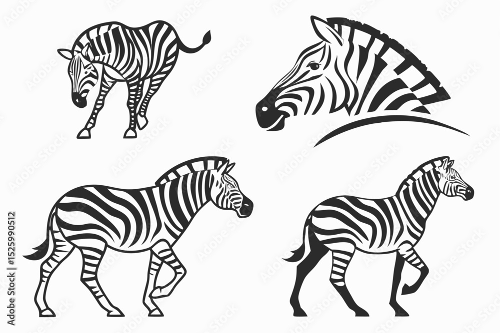 Fototapeta premium zebra vector illustration