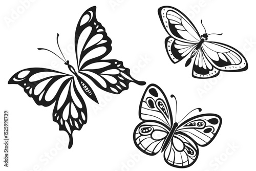 black and white butterfly