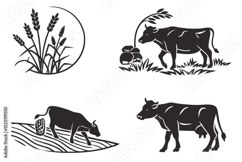cow and calf