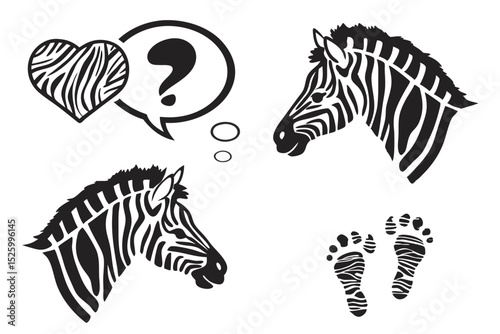 zebra