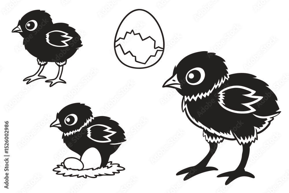 Fototapeta premium chicken