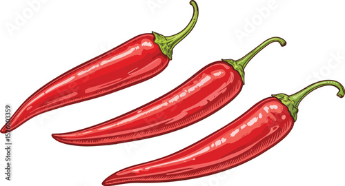 Red Chilli in white background Illustration vector design, Red Chili vector design