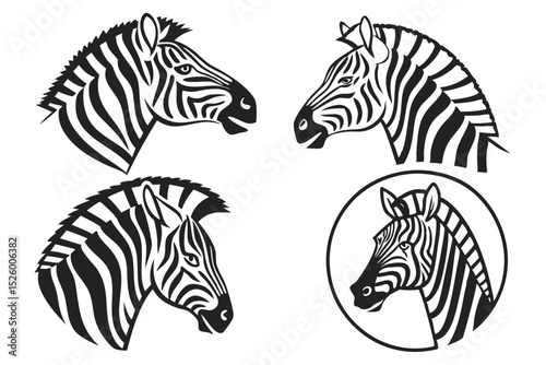 zebra vector illustration
