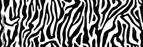 Zebra striped lines fur. Animal skin texture for printing, seamless wildlife pattern. Abstract curved lines ornament. Good for textile, fabric, fashion design. Vector background