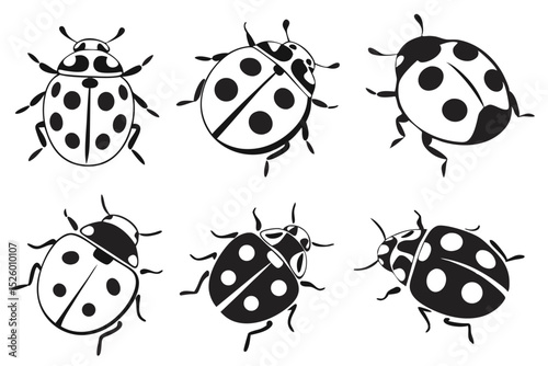 set of ladybugs