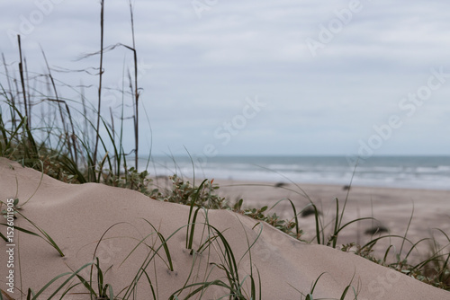 Fototapeta Naklejka Na Ścianę i Meble -  sand dunes and grass