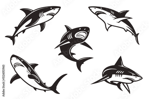set of sharks