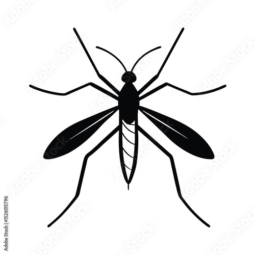 black water strider vector art