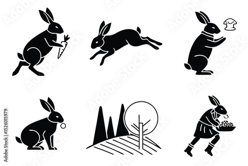 rabbit