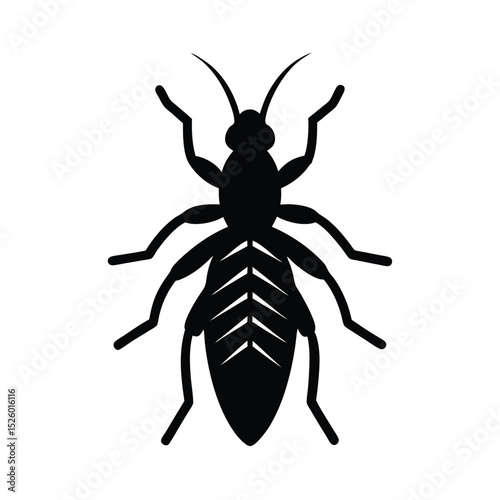 vector illustration of a black beetle