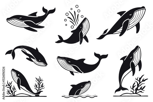 set of birds