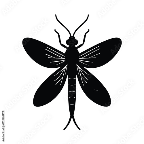dragonfly vector illustration