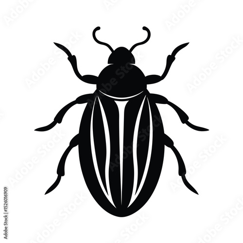 colorado potato beetle isolated