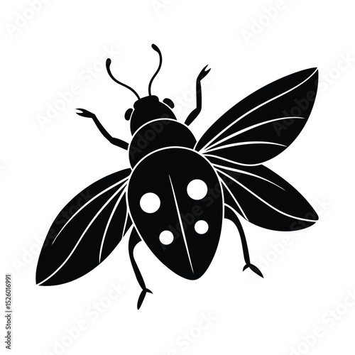 vector illustration of a ladybug