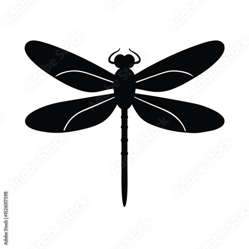 dragonfly isolated on white